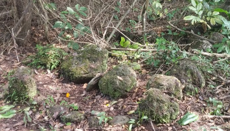 barachi Kulagat