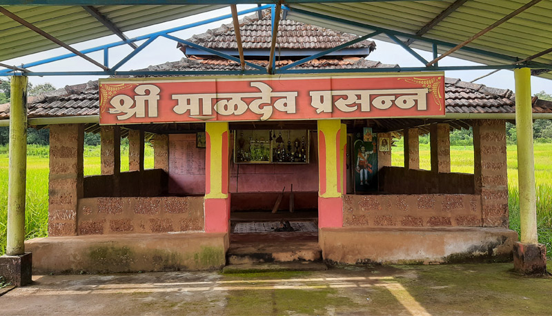 maldev